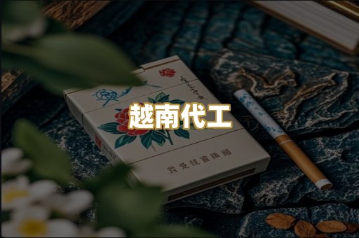 越南代工